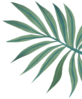 Hoja derecha